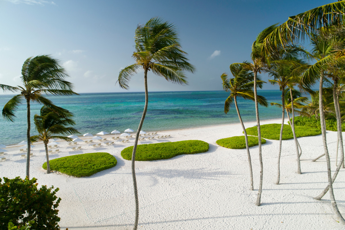 Beach Area at The Westin Puntacana Resort & Club